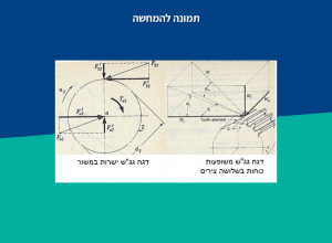 ניתוח דג"ח דוגמה 2