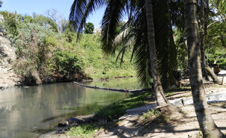 Pic2LandScapeInCuba