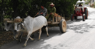 Pic3Transportation In Cuba